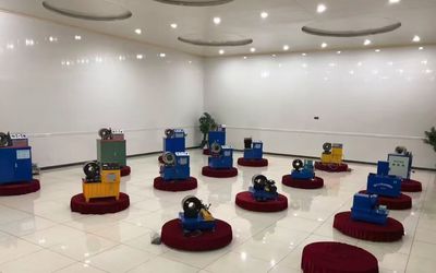 Trung Quốc Shanghai Fanying Machinery Technology Co., Ltd. Hồ sơ công ty